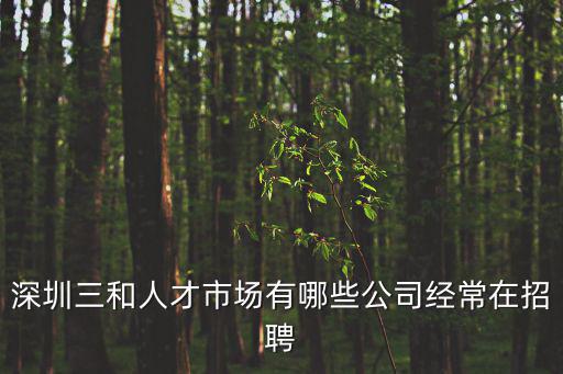 深圳三和人才市場有哪些公司經(jīng)常在招聘