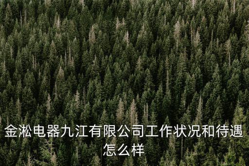 金淞電器九江有限公司工作狀況和待遇怎么樣