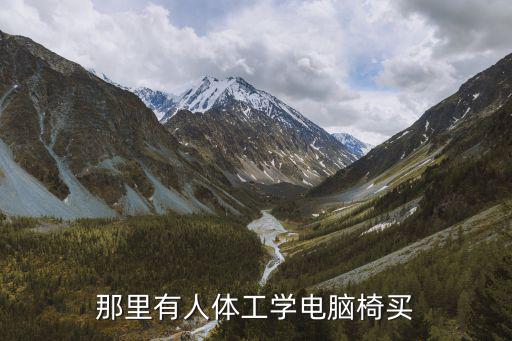那里有人體工學電腦椅買