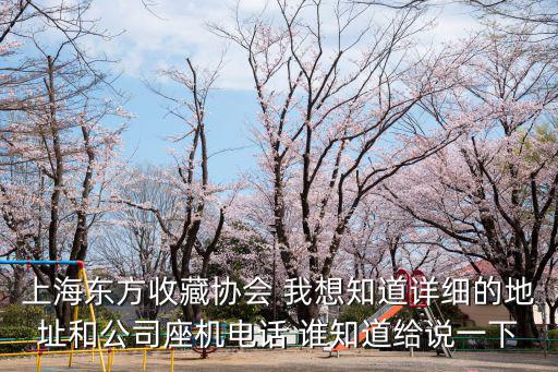 上海市收藏協會 地址，上海收藏市場在那 請詳細