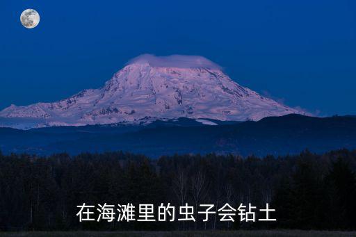 在海灘里的蟲子會鉆土