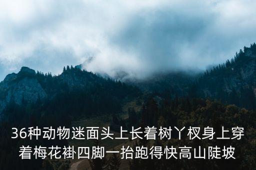 36種動物迷面頭上長著樹丫杈身上穿著梅花褂四腳一抬跑得快高山陡坡