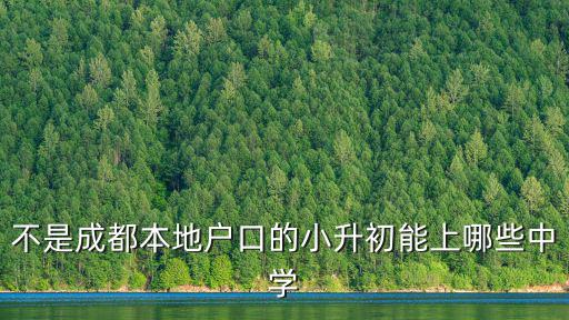 不是成都本地戶口的小升初能上哪些中學