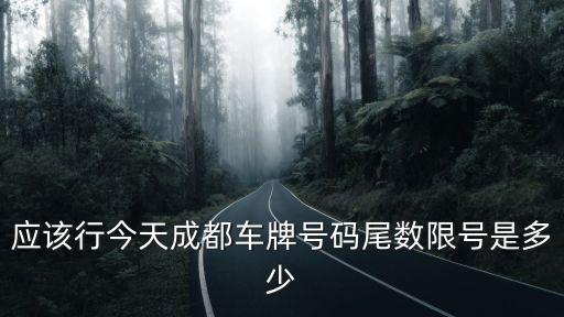 應該行今天成都車牌號碼尾數限號是多少