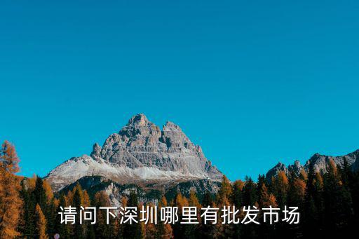 深圳批發市場，深圳最大的批發市場在那里
