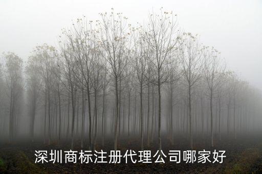 深圳商標注冊代理公司哪家好