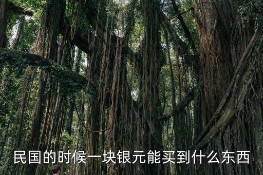 民國的時候一塊銀元能買到什么東西
