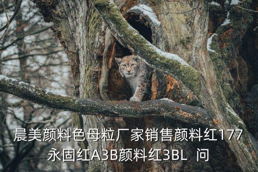 晨美顏料色母粒廠家銷售顏料紅177永固紅A3B顏料紅3BL  問