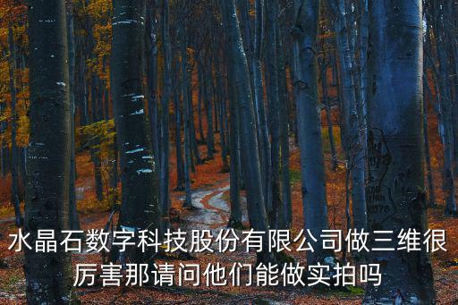 水晶石數字科技股份有限公司做三維很厲害那請問他們能做實拍嗎