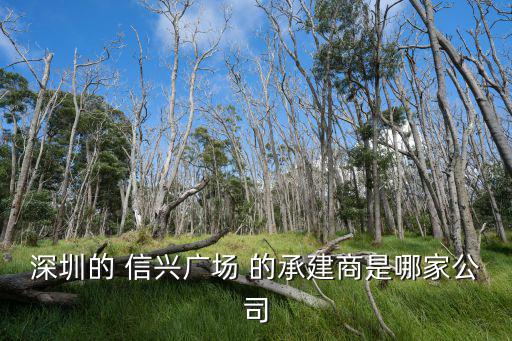 深圳的 信興廣場 的承建商是哪家公司