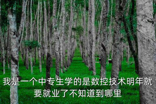 我是一個中專生學的是數控技術明年就要就業了不知道到哪里