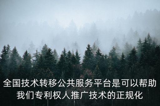 成都市技術(shù)轉(zhuǎn)移與交易平臺(tái)，做技術(shù)轉(zhuǎn)移的公司有哪些