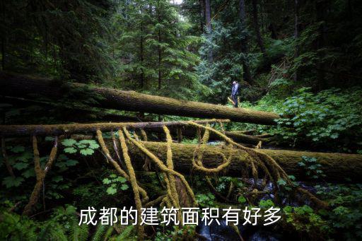 成都的建筑面積有好多
