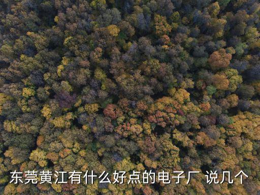 東莞海源科技電子廠，東莞涌口那有電子廠