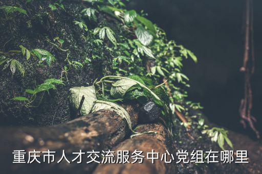 重慶市人才交流服務(wù)中心黨組在哪里