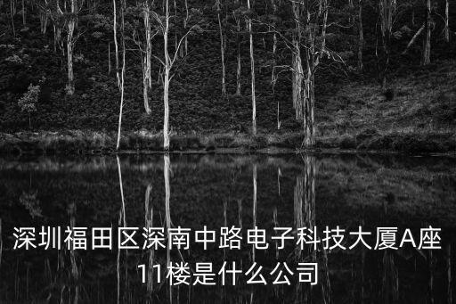 深圳市長(zhǎng)隆科技有限公司，深圳福田區(qū)深南中路電子科技大廈A座11樓是什么公司