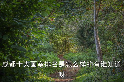 成都十大畫(huà)室排名是怎么樣的有誰(shuí)知道呀
