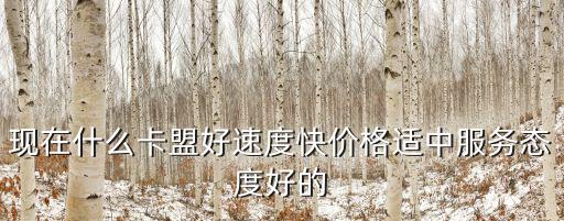 現在什么卡盟好速度快價格適中服務態度好的