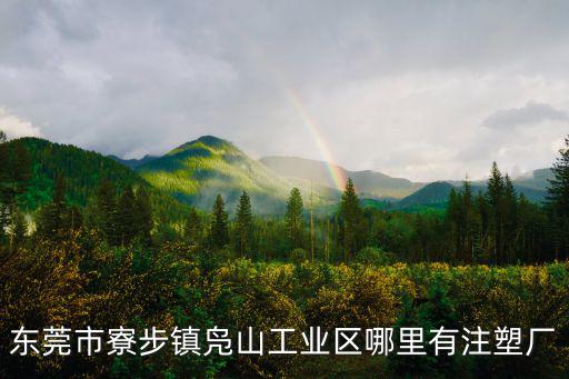 東莞市寮步鎮鳧山工業區哪里有注塑廠