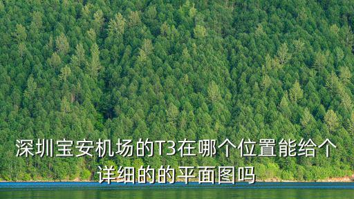 深圳寶安機場的T3在哪個位置能給個詳細的的平面圖嗎