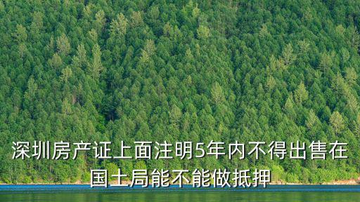 深圳國土局抵押登記，深圳房產證上面注明5年內不得出售在國土局能不能做抵押
