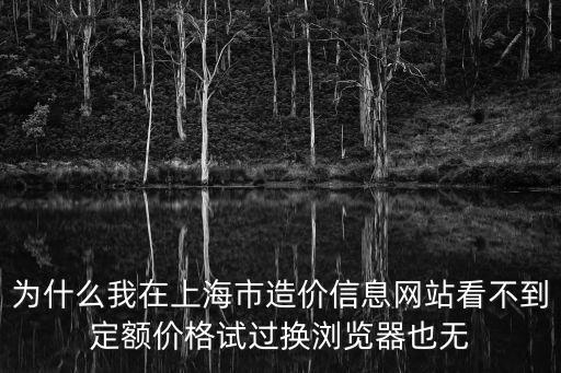 為什么我在上海市造價信息網站看不到定額價格試過換瀏覽器也無