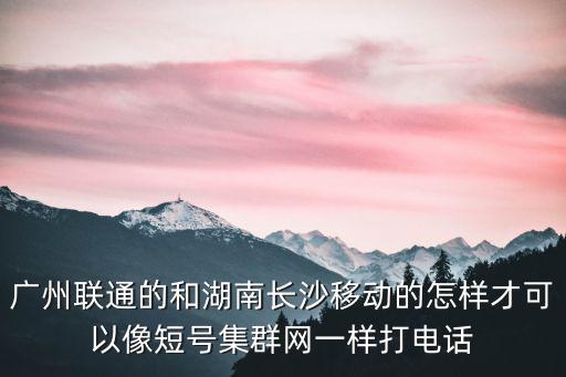 廣州聯通的和湖南長沙移動的怎樣才可以像短號集群網一樣打電話
