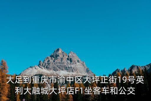 大足到重慶市渝中區(qū)大坪正街19號(hào)英利大融城大坪店F1坐客車和公交