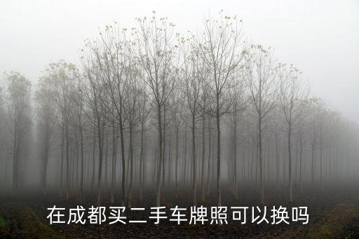 在成都買二手車牌照可以換嗎