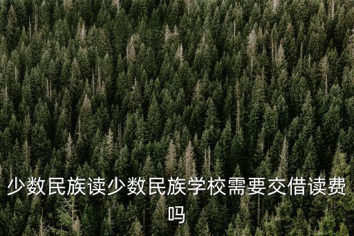 少數(shù)民族讀少數(shù)民族學校需要交借讀費嗎