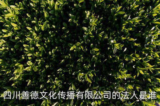 四川善德文化傳播有限公司的法人是誰(shuí)
