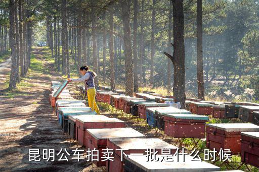 昆明公車拍賣下一批是什么時(shí)候