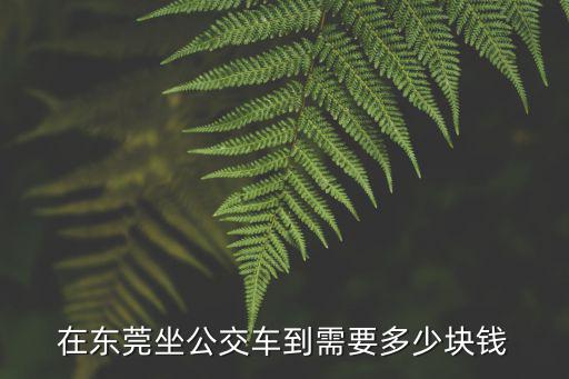 在東莞坐公交車到需要多少塊錢
