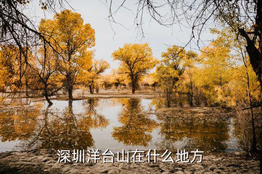 深圳洋臺山在什么地方
