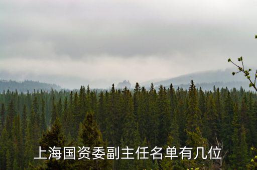 上海市區國資委秘書長，上海市國資委黨委的全稱是什么