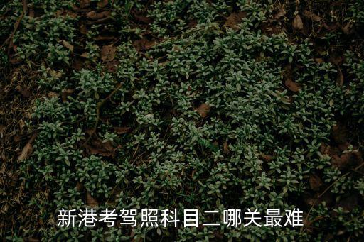 新港考駕照科目二哪關(guān)最難
