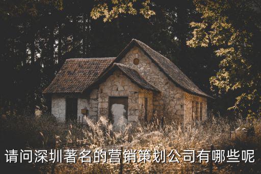 請問深圳著名的營銷策劃公司有哪些呢