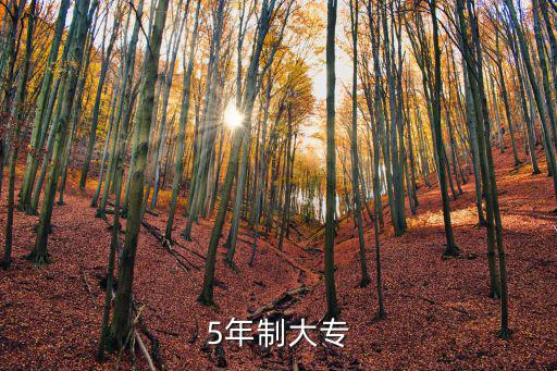 成都市五年大專制學(xué)校，5年制大專