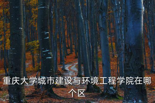 重慶大學城市建設與環境工程學院在哪個區