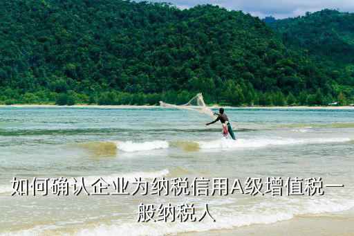 如何確認企業(yè)為納稅信用A級增值稅一般納稅人