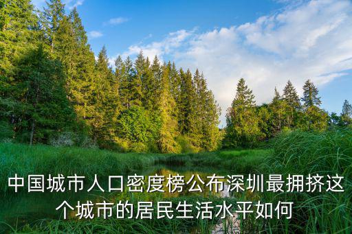 中國城市人口密度榜公布深圳最擁擠這個城市的居民生活水平如何