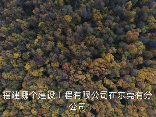 東莞市廣興建筑基礎(chǔ)工程有限公司，東莞建筑加固找哪家公司好