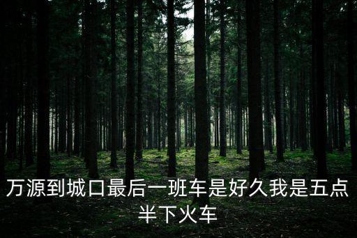 萬源到重慶市城口縣，請教四川萬源到重慶城口汽車時刻
