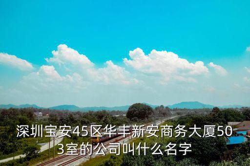 深圳寶安45區華豐新安商務大廈503室的公司叫什么名字
