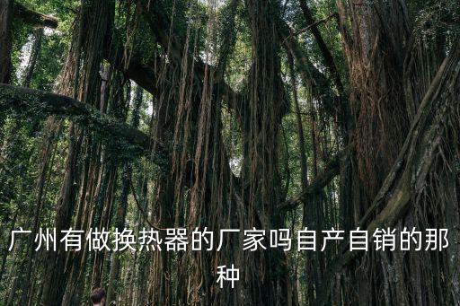 廣州有做換熱器的廠家嗎自產自銷的那種