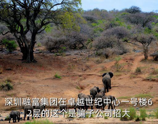 深圳融富集團在卓越世紀中心一號樓62層的這個是騙子公司招大