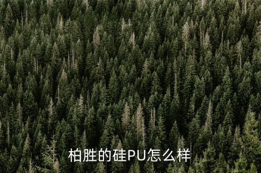 柏勝的硅PU怎么樣