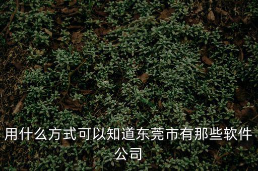 用什么方式可以知道東莞市有那些軟件公司