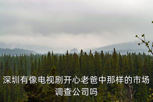 深圳市艾索管理咨詢有限公司，深圳那個管理咨詢公司做任職資格和薪酬方面做的好啊