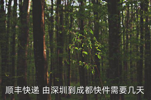 順豐快遞 由深圳到成都快件需要幾天